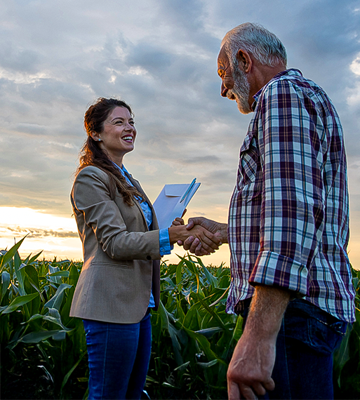 Gwarancje i poręczenia kredytowe
